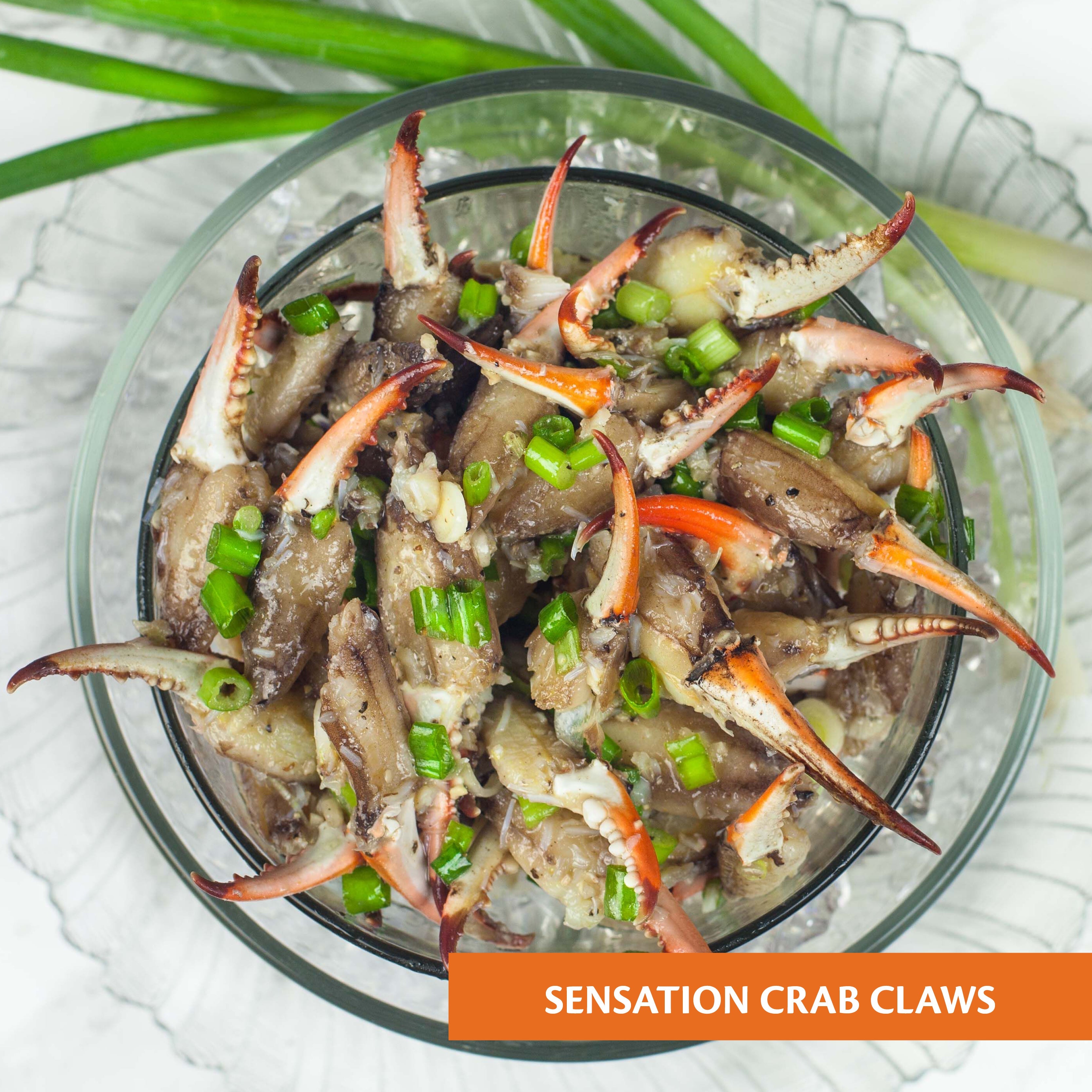 Sensation™ dressing