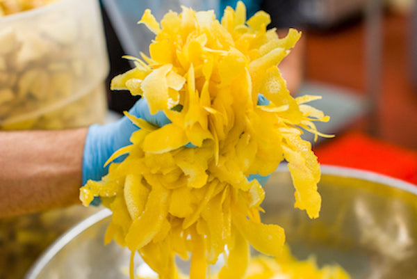 Craft Cocktail Syrup Pack: Agave (Tequila + Mezcal)