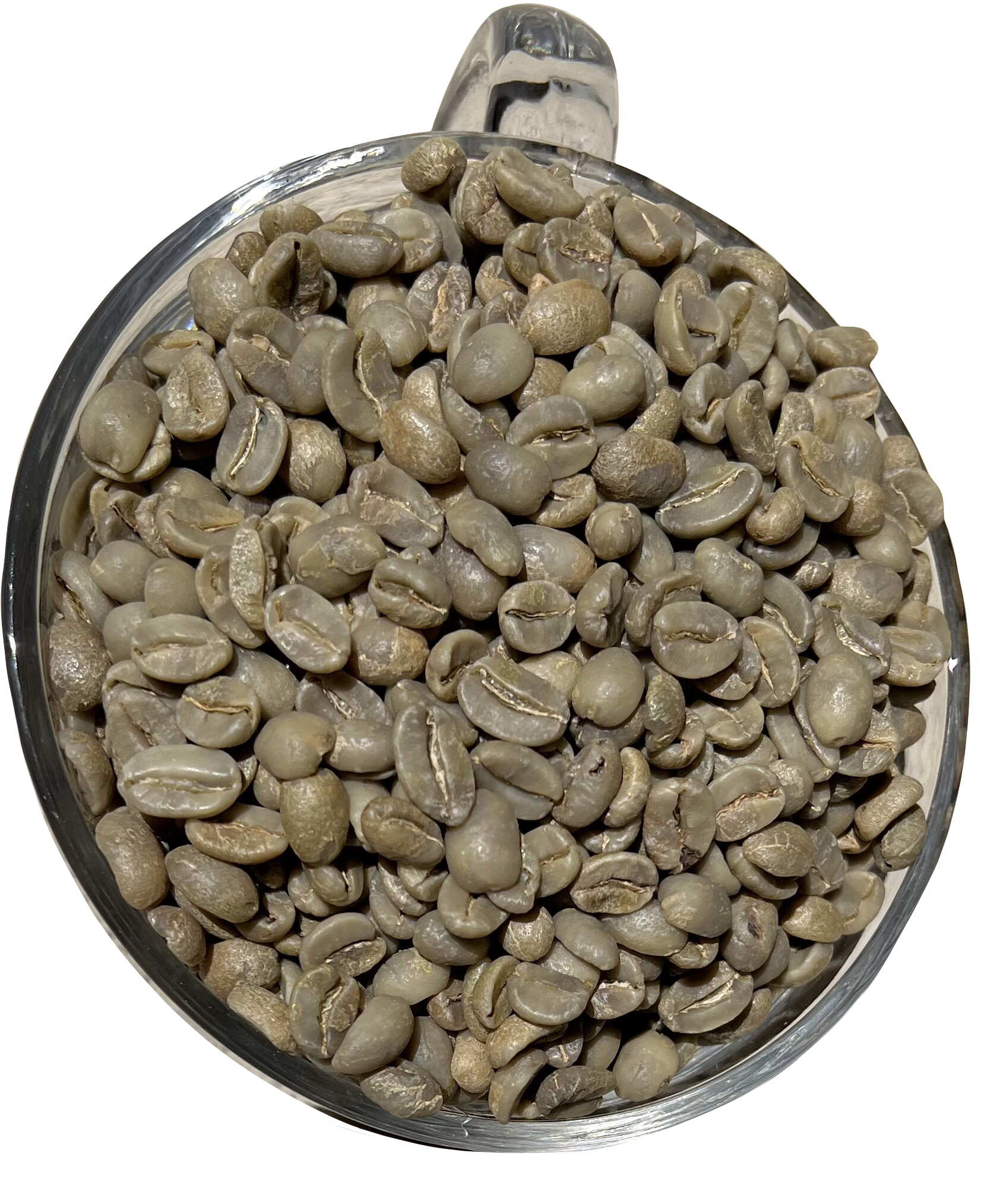 MARSELLESA Premium Specialty Grade -2026 CROPS-