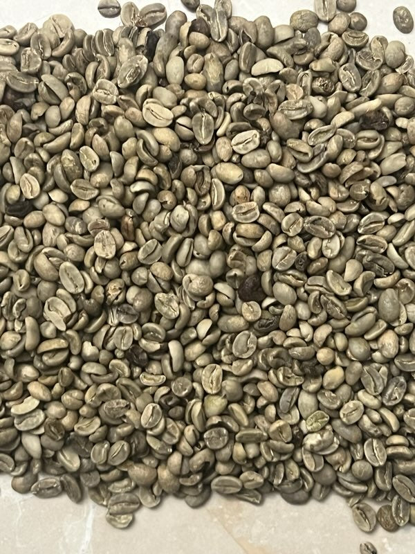 Guatemala Green Unroasted Grade B Coffee